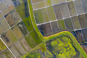 Aerial view of salt evaporation ponds in Aveiro, Portugal