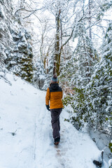 A young woman with a yellow jacket in the snowy forest of the Artikutza natural park in oiartzun...