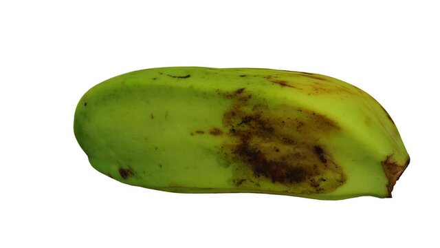 Realistic render of a rotating  Cooking Banana (Saba variety from Philippines)  on white background. The video is seamlessly looping, and the 3D object is scanned from a real banana.
