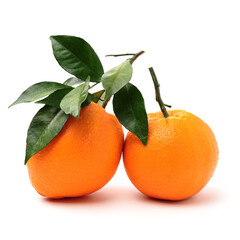 Orange fruit on the white background
