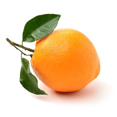 Orange fruit on the white background