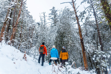 Three young men with their backs turned in the snowy forest of the Artikutza natural park in...