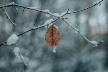 Winter time