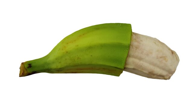 Realistic render of a rolling partially peeled Cooking Banana (Saba variety from Philippines)  on white background. The video is seamlessly looping, and the 3D object is scanned from a real banana.
