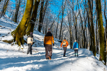 A group of hikers on the trail in the Nevado de Artikutza natural park in Oiartzun near San...