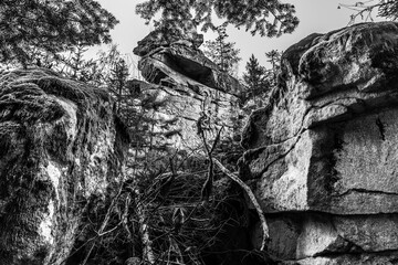 Schwarz weiß Foto der mystische Felsengruppe und Steingruppe Teufelsstein bei der Teufelsmühle bei Rattenberg mit dem Felsengesicht einem Gesicht oder Fratze eines Teufelsgesichts 