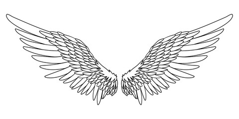 Angel or bird wings abstract sketch isolated on white. doodle illustration. For your design © Janna Mudrak