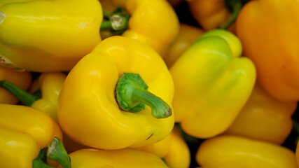 黄色いパプリカ