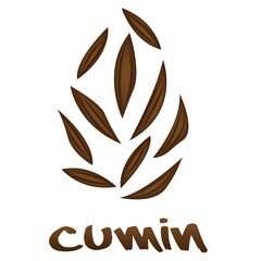 Cumin Zira seeds vector illustration on a white background