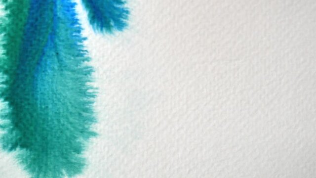 Blue and green color flowing and spreading on the white background , Abstract watercolor hand draw on paper