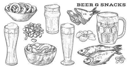 Beer and snacks. Set of elements isolated on white background. Hand drawn vector illustration.