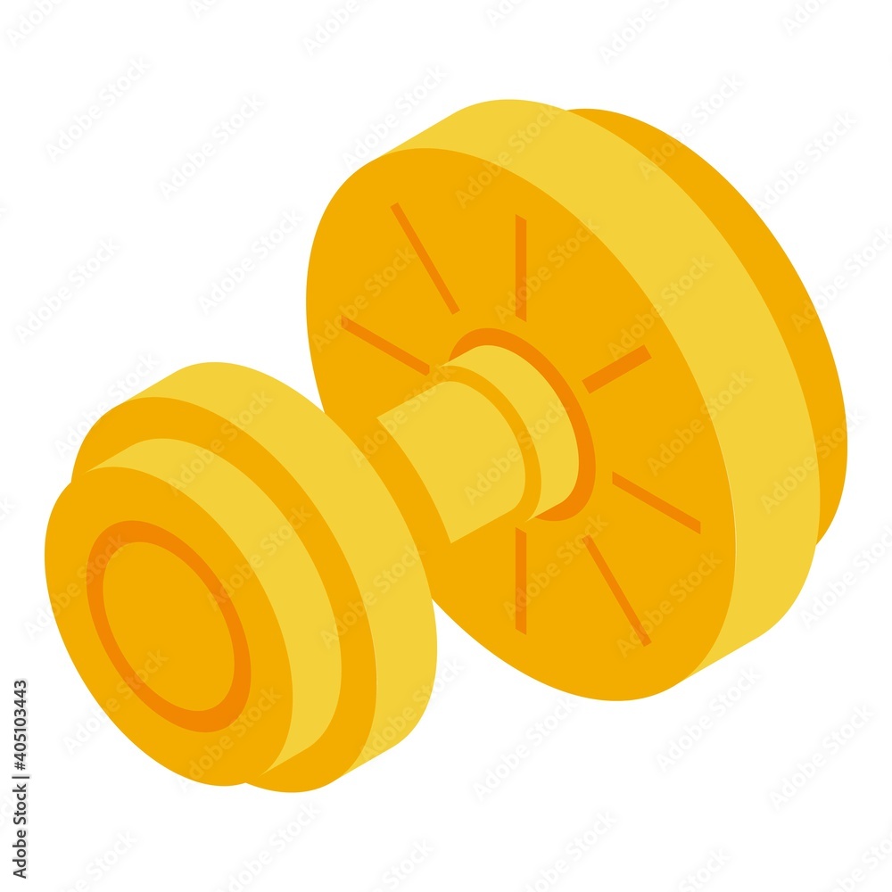 Poster round handle door icon. isometric of round handle door vector icon for web design isolated on white 