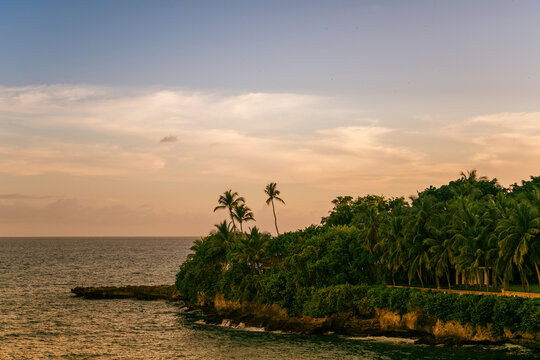Palm trees on La Romana Beach, Dominican Republic