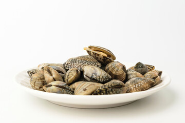 Clam clam on white background
