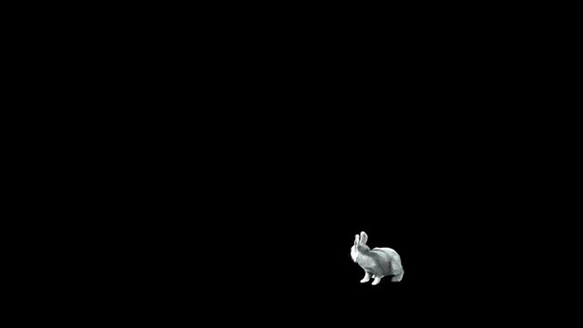 white rabbit jump into the scene from right side and looking around, sniffle and jump out to the left side of scene. 3d rendering white rabbit character isolated on solid background with alpha matte.