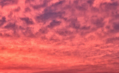 Evening sky with bright pink clouds at sunset.