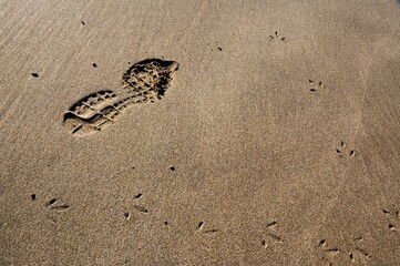 leave only footprints take only photos