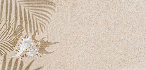 Fototapeta na wymiar White Sea shells on sand and palm tree shadows. Tropical background, holiday tropical concept