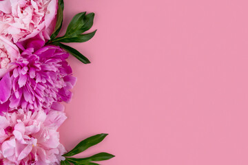 Frame of pink peonies on a pink background copy space