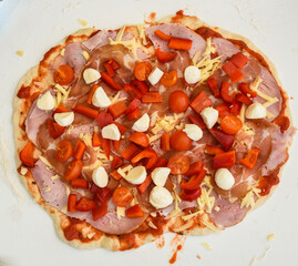 Making of homemade Italian pizza in fireplace brick oven.