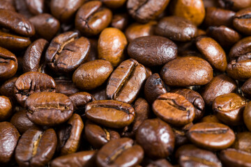 natural fresh roasted coffee beans