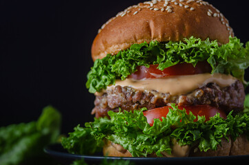 Appetizing fatty burger with pork cutlet and cheese sauce and salad. Harmful but delicious fast food.