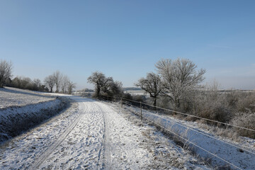 Winter landscape with snowy fields and blue sky