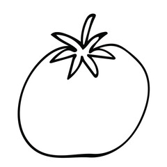 Cute hand drawn vegetable - tomato. Doodle vector illustration for vegetable blanks, cooking recipes and kitchen design.
