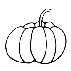 Cute hand drawn vegetable - pumpkin. Doodle vector illustration for vegetable blanks, cooking recipes and kitchen design.