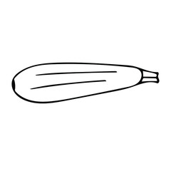 Cute hand drawn vegetable - zucchini. Doodle vector illustration for vegetable blanks, cooking recipes and kitchen design.