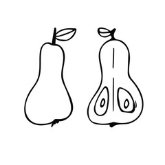 A single vector element with a hand-drawn doodle of pears whole and cut in half. Illustrations for fruit packaging, juices, jams, cooking recipes, kitchen design.