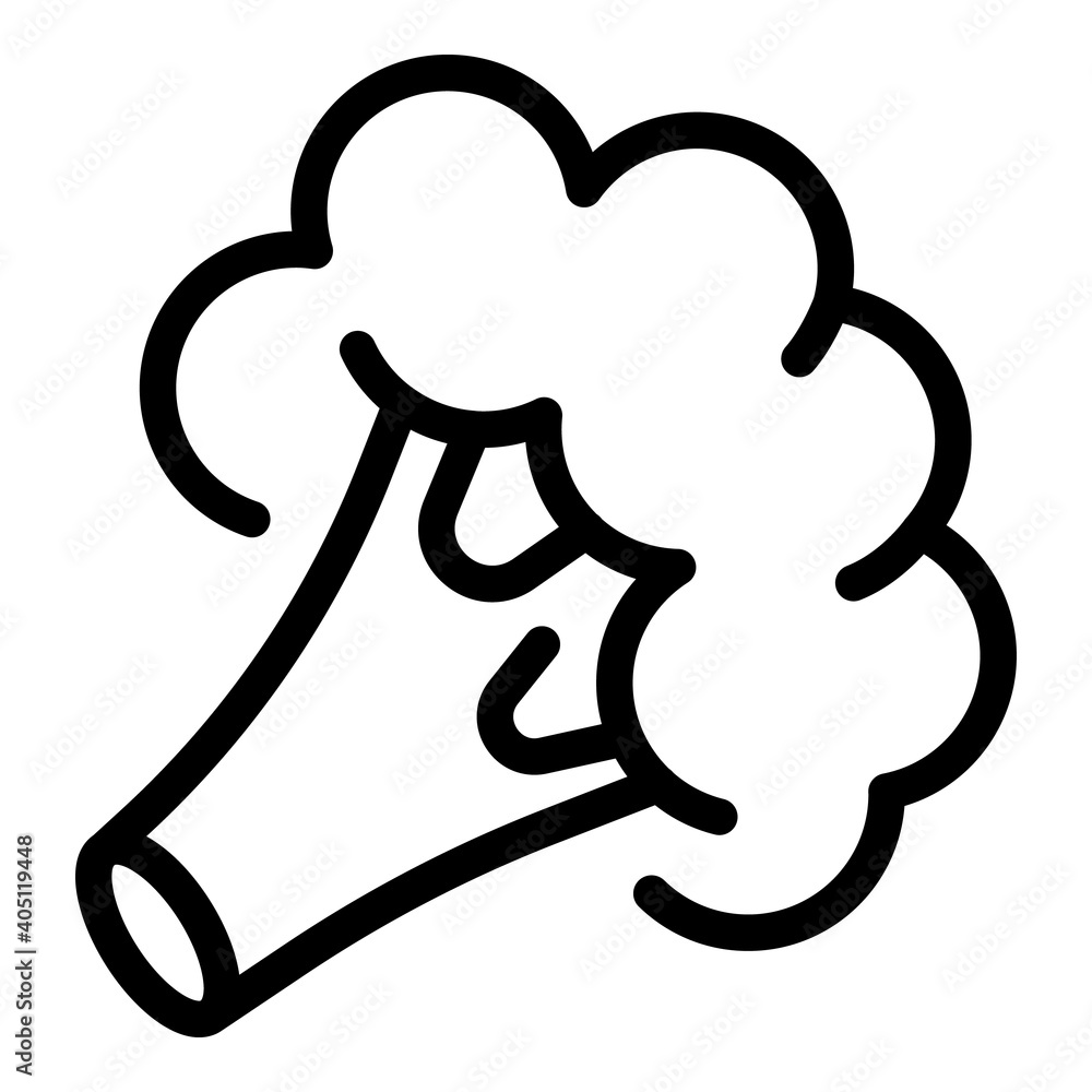 Poster broccoli icon. outline broccoli vector icon for web design isolated on white background