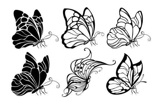 Seated butterflies