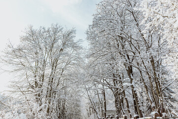 Winterlandschaft