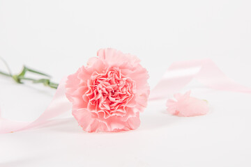Pink carnation mother's day blessing flowers on whtie background