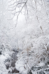 Nieve en españa, aragon, zaragoza, invierno blanco, arboles , nevada, frio, paisaje, parque, rio conjelado.