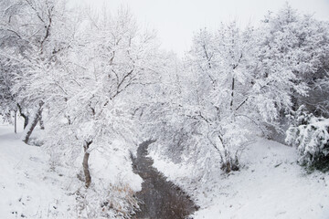 Nieve en españa, aragon, zaragoza, invierno blanco, arboles , nevada, frio, paisaje, parque, rio...