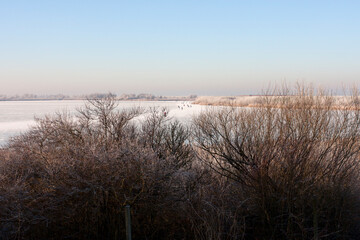 Oostvaardersplassen met schaatsers, Skaters on Oostvaardersplassen