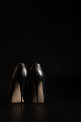A pair of women's high-heeled shoes on a black background. Side view with space to copy. The concept of women's shoes.