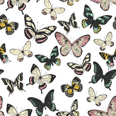 Multicolored butterflies, realistic style isolated on white background. Seamless pattern