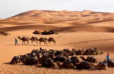 Deurstickers Erg Chebbi woestijn, Erg Chebbi Desert © AGAMI
