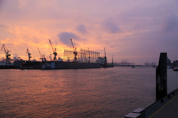Fototapeta premium Dockside cranes in Hamburg Harbour, Germany