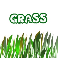 Grass text illustration.