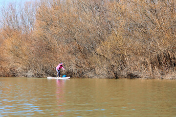 Fototapeta na wymiar Woman on stand up paddle board (SUP) rowing on the river near shore with trees at sunny autumn day