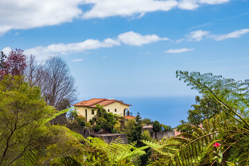 Fototapeta na wymiar Blick auf ein Haus in Funchal auf der Insel Madeira, Portugal