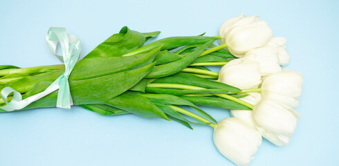 Blue banner with a bouquet of white tulips
