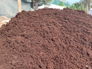 Soil texture background for gardening concept