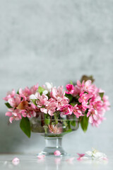 Pink apple blossoms in a glass vase on a gray background. Vertical. Wallpaper
