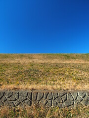 小春日の水路のある江戸川土手風景