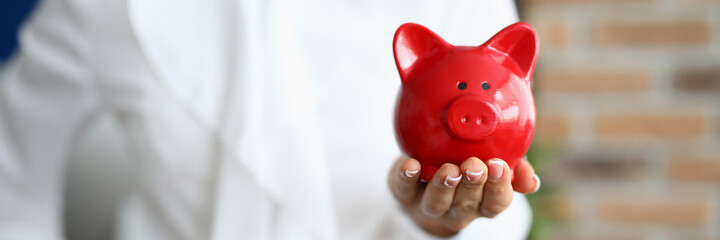 Close-up of person holding red piggy bank on hand. Symbol for money and savings. Adult wearing...